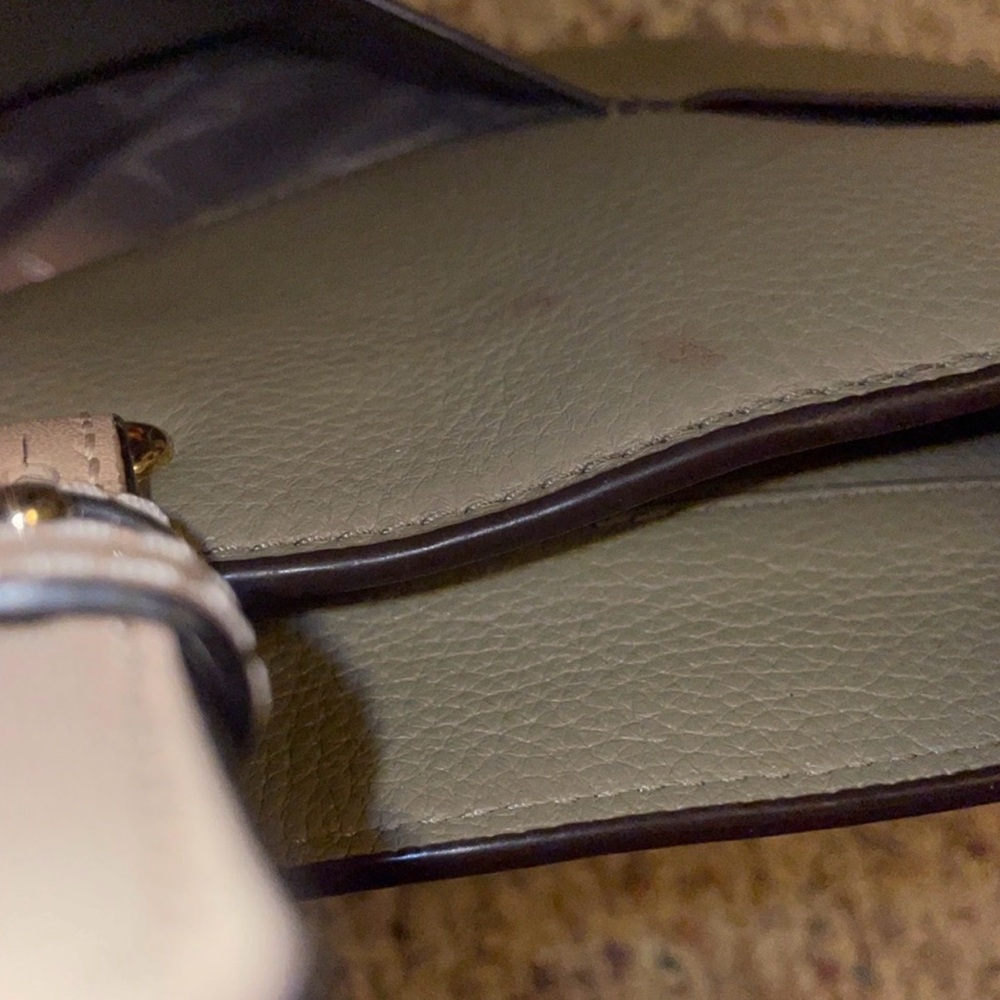 Michael Kors Sage Green tote Giveaway! - Picture 8 of 14